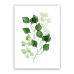 Overlapping Plants