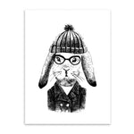 Rabbit Fashion