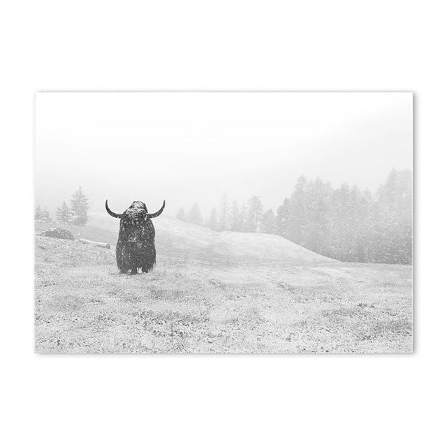 bison landscape poster cotton canvas the scandique