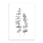 leaves on stems cotton canvas poster the scandique