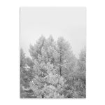 snowy forest cotton canvas poster the scandique