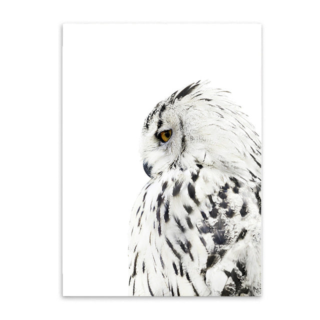 snowy owl cotton canvas poster the scandique
