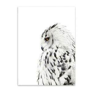 snowy owl cotton canvas poster the scandique