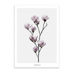 magnolia cotton canvas poster the scandique