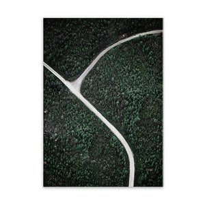 Fork in the Road
