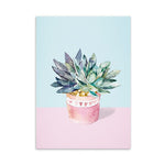 Potted Green Plant