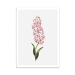 Pink Flower