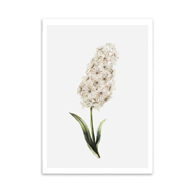 White Flower